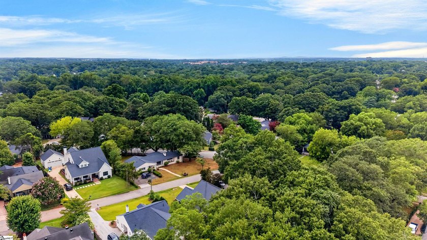 This home is offered by Nick Van Gorp with Wilson Associates - photo 39