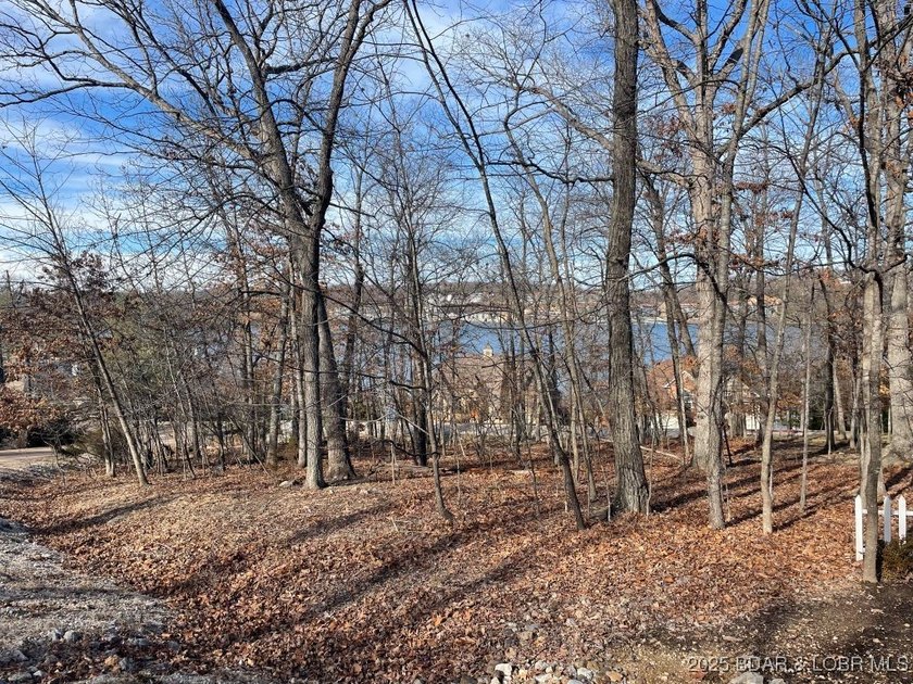 **Prime Residential Lot in Porto Cima - Lake of the Ozarks** - photo 4