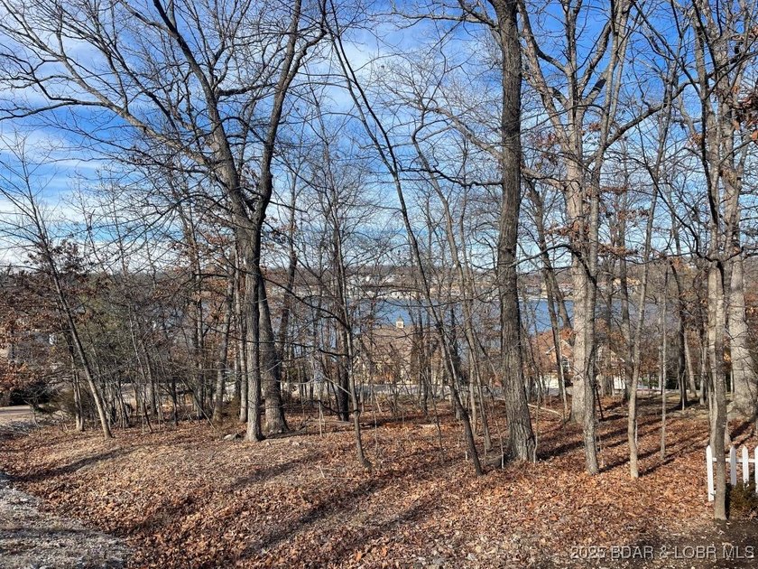 **Prime Residential Lot in Porto Cima - Lake of the Ozarks** - photo 5