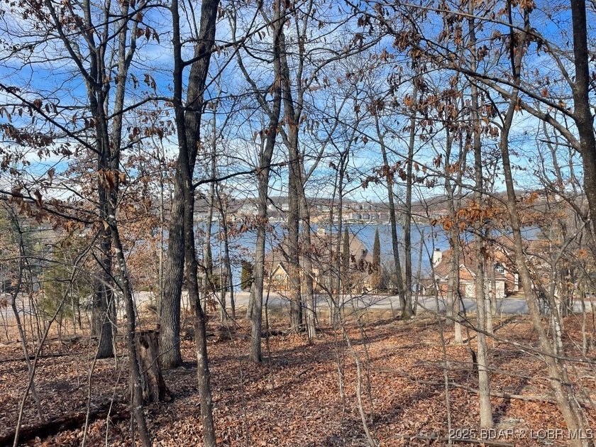 **Prime Residential Lot in Porto Cima - Lake of the Ozarks** - photo 6