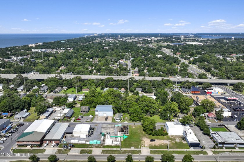 Two adjoining lots fronting Caillavet Street are available - photo 8