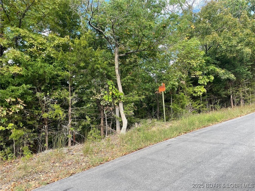 Looking for the perfect spot to build your dream home? This - photo 5