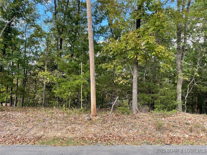 Looking for the perfect spot to build your dream home? This - photo 6