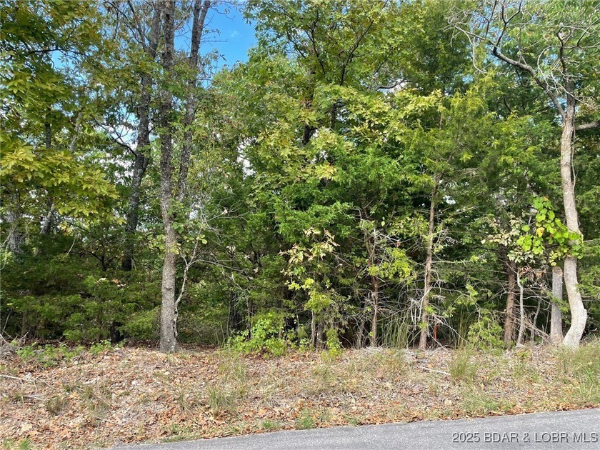 Looking for the perfect spot to build your dream home? This - photo 9