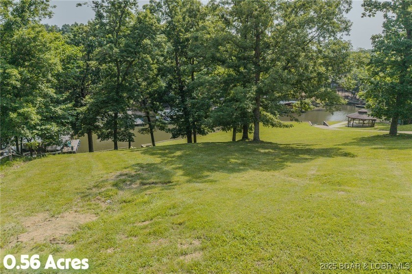 ABSOLUTELY GEORGOUS lake front building lot that is just over - photo 19
