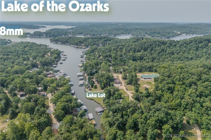 ABSOLUTELY GEORGOUS lake front building lot that is just over - photo 37