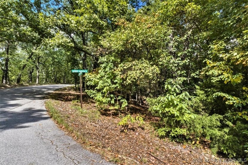 Lakefront opportunity on the 34 MM! This wooded cove location - photo 2