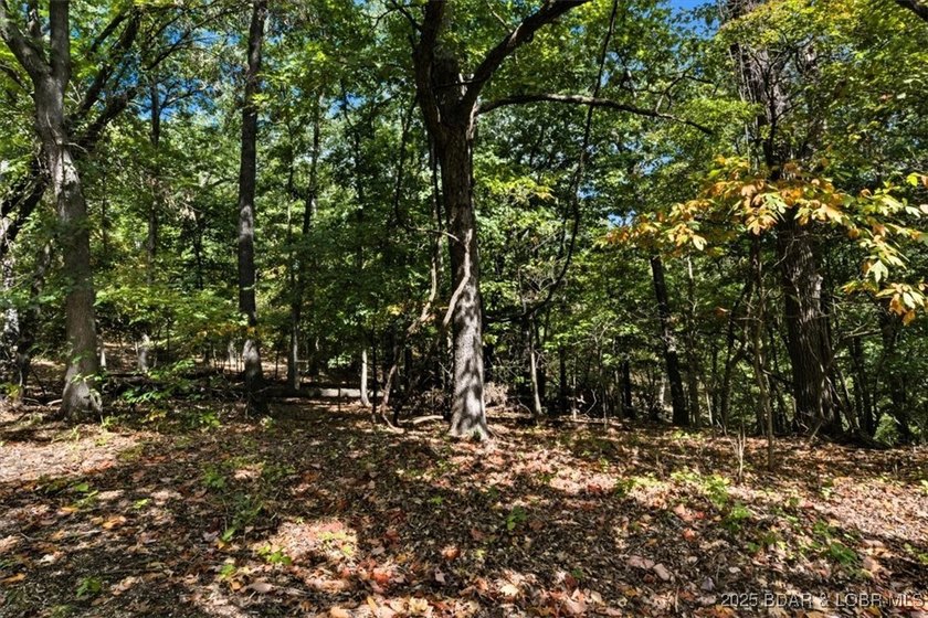 Lakefront opportunity on the 34 MM! This wooded cove location - photo 6