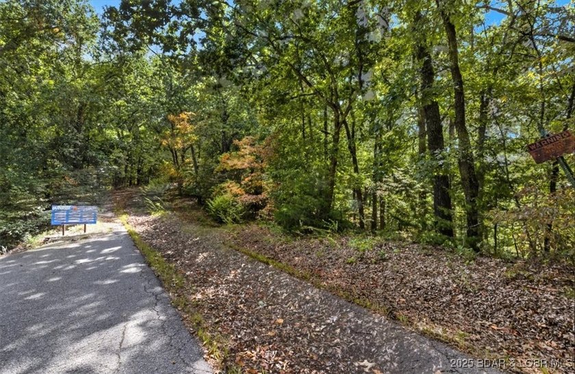 Lakefront opportunity on the 34 MM! This wooded cove location - photo 8