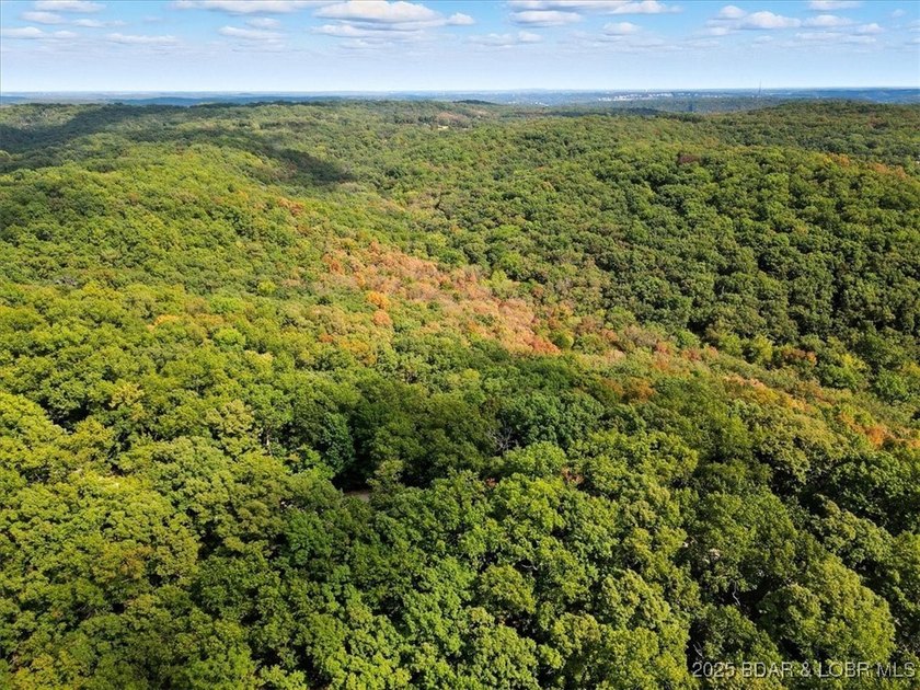 Lakefront opportunity on the 34 MM! This wooded cove location - photo 9