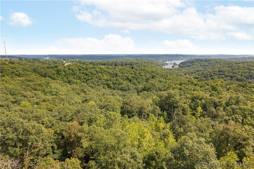 This 18.13-acre property is an incredible opportunity with - photo 4