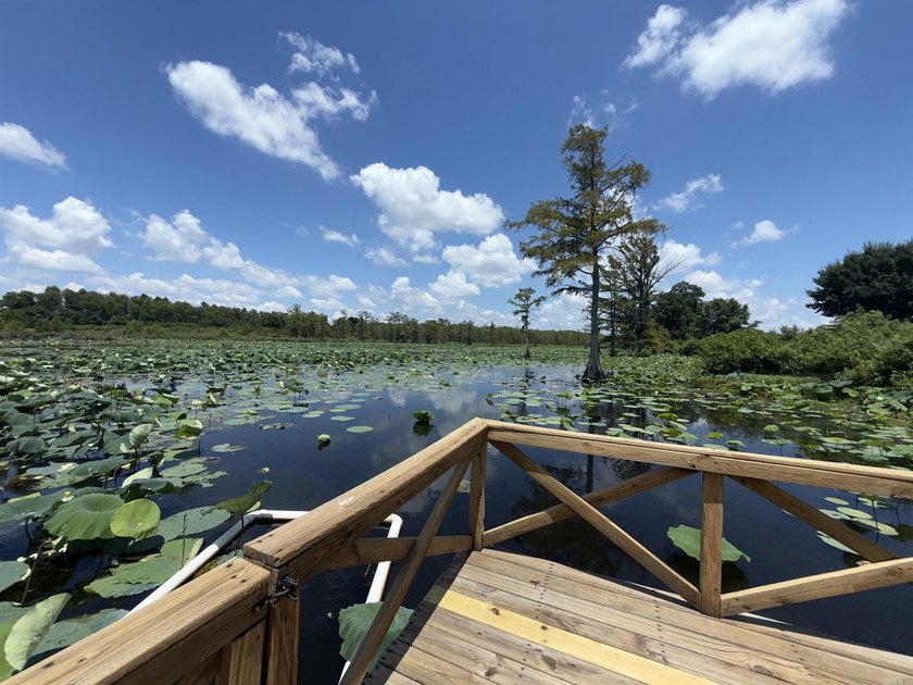 Your own slice of country paradise awaits! Nestled on 1.49 - photo 45