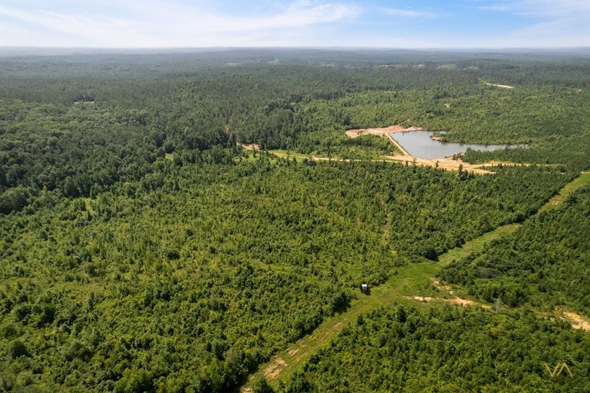 529.5 ( WITH 1.4 MILES OF PAVED ROAD FRONTAGE) ACRES OF PREMIER - photo 45