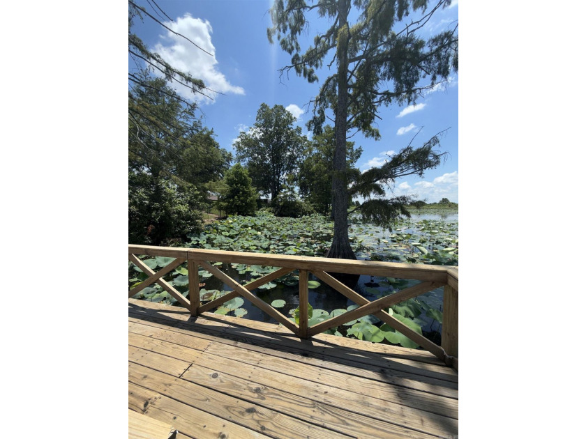 Your own slice of country paradise awaits! Nestled on 1.49 - photo 47