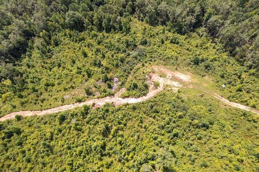 529.5 ( WITH 1.4 MILES OF PAVED ROAD FRONTAGE) ACRES OF PREMIER - photo 50
