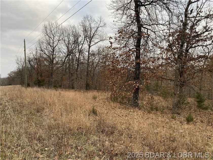 Nicely positioned 4.5 Acre lot perfect for building your new - photo 3