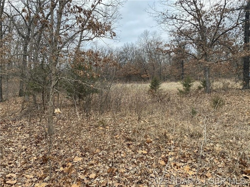 Nicely positioned 4.5 Acre lot perfect for building your new - photo 5