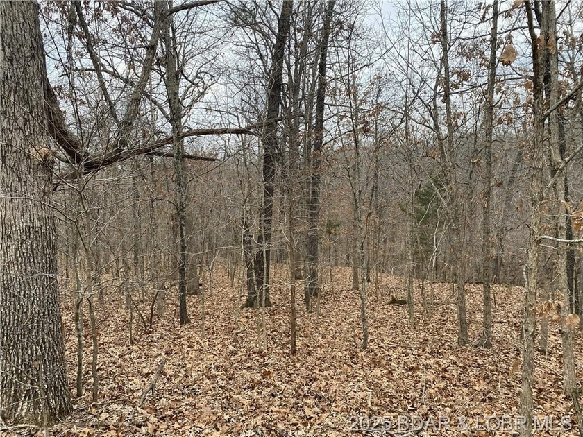 Nicely positioned 4.5 Acre lot perfect for building your new - photo 6