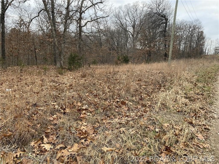 Nicely positioned 4.5 Acre lot perfect for building your new - photo 7
