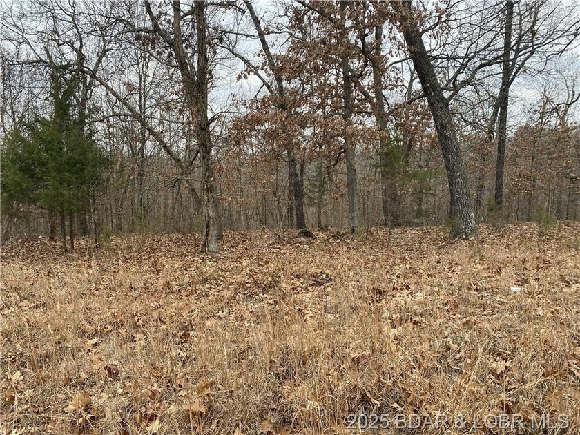 Nicely positioned 4.5 Acre lot perfect for building your new - photo 8