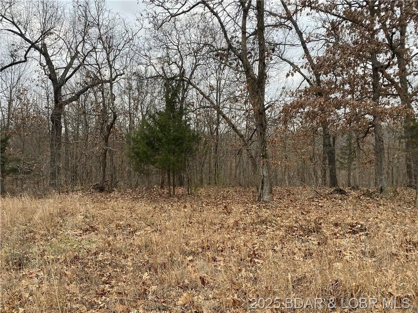 Nicely positioned 4.5 Acre lot perfect for building your new - photo 9