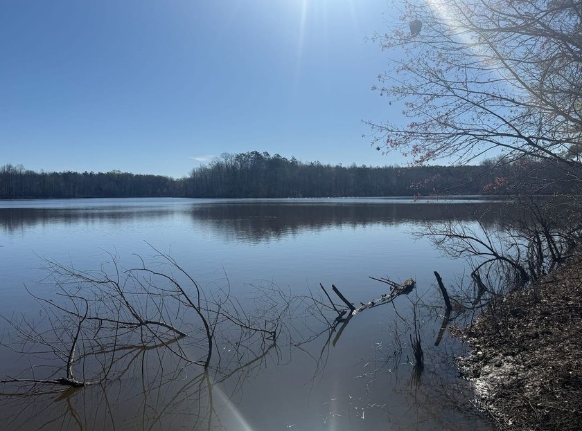 Located in Pontotoc County, Ms this 70 +/- acre property is one - photo 2