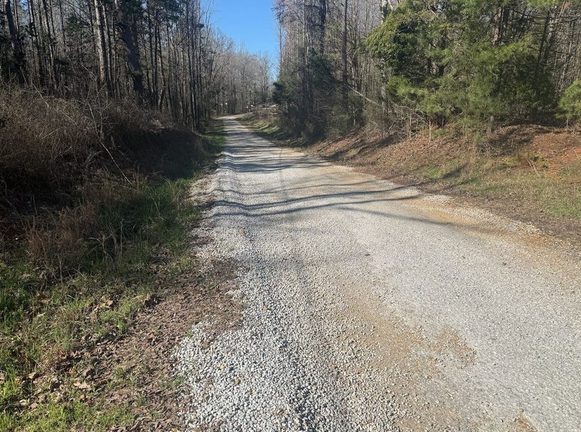 Located in Pontotoc County, Ms this 70 +/- acre property is one - photo 3