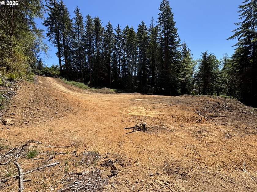 Private and secluded 2-acre parcel, yet 10 minutes to town. Out - photo 3