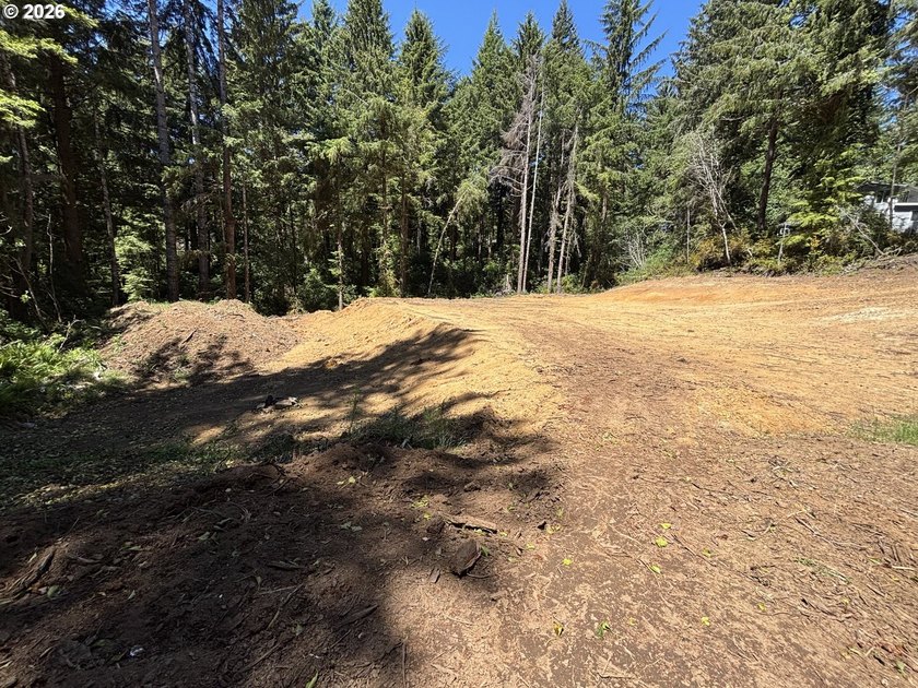 Private and secluded 2-acre parcel, yet 10 minutes to town. Out - photo 4