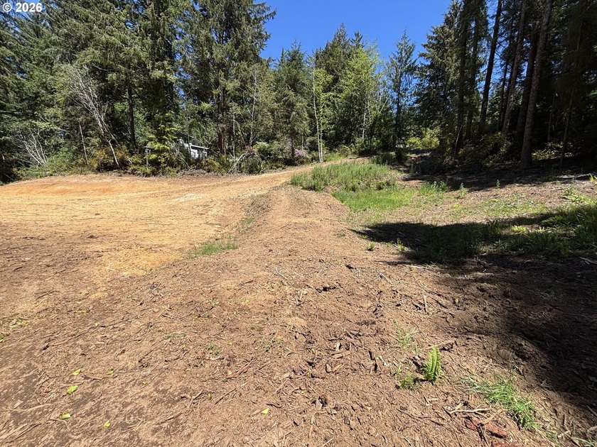 Private and secluded 2-acre parcel, yet 10 minutes to town. Out - photo 5