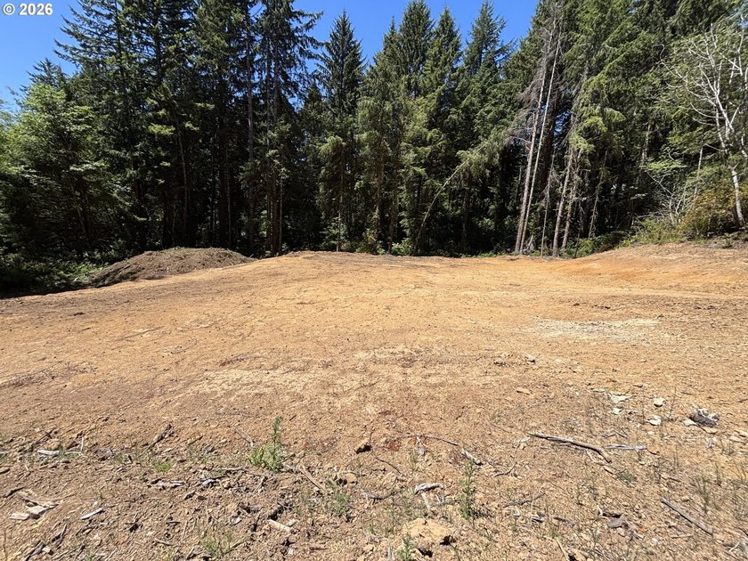 Private and secluded 2-acre parcel, yet 10 minutes to town. Out - photo 6