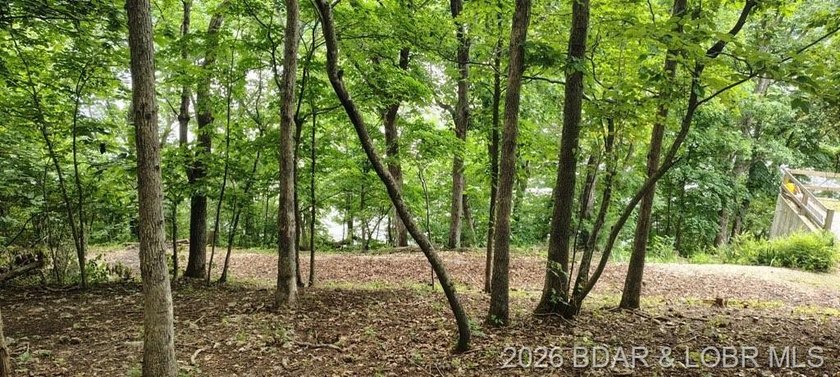 Nice Lake Front Building Lot at the 68 MM in Little Buffalo - photo 5
