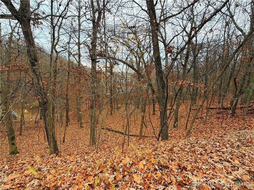 Feels like lakefront without the price! Spacious Lake view lot - photo 5