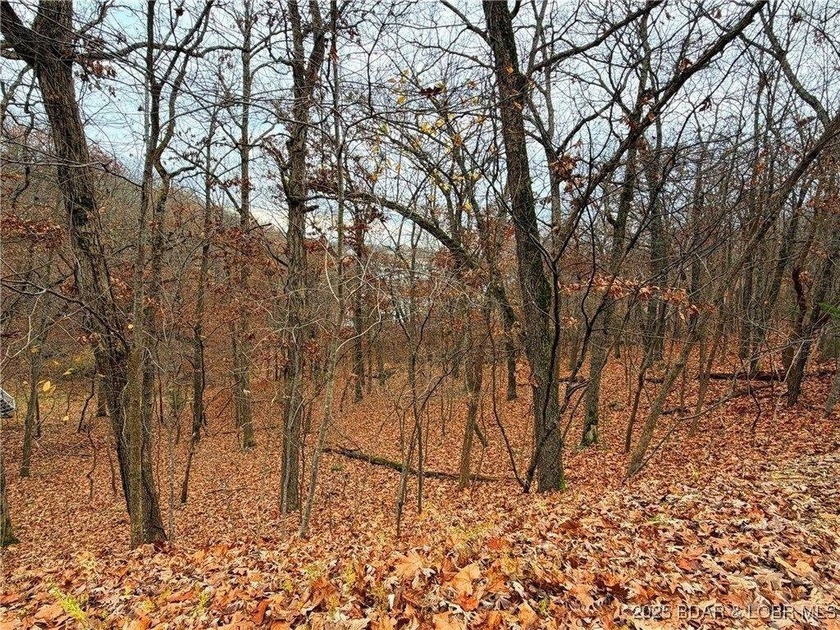 Feels like lakefront without the price! Spacious Lake view lot - photo 6