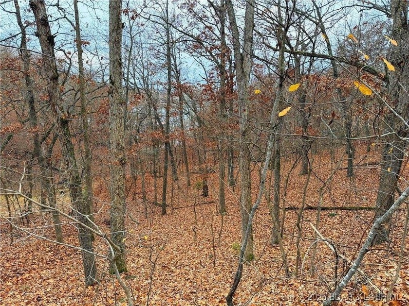 Feels like lakefront without the price! Spacious Lake view lot - photo 7