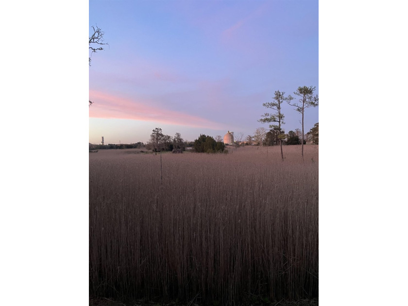 Just south of Downtown Georgetown, this beautifully maintained - photo 38