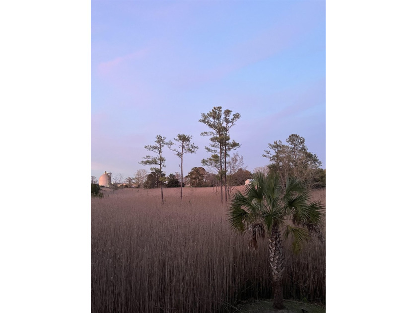 Just south of Downtown Georgetown, this beautifully maintained - photo 39