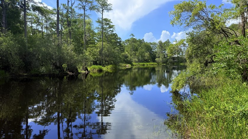 Welcome to The Driftwood by AR Homes, a stunning new - photo 13