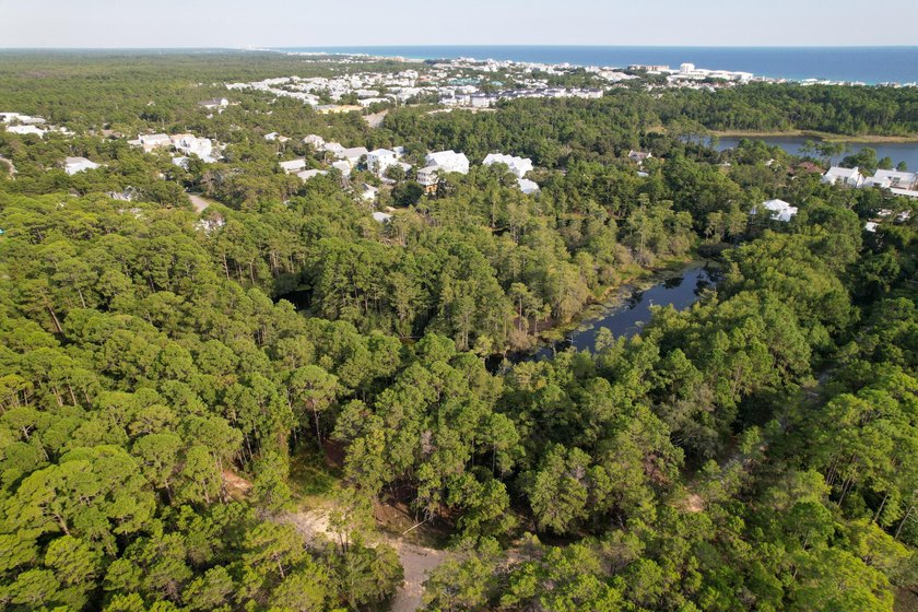 Welcome to The Driftwood by AR Homes, a stunning new - photo 17