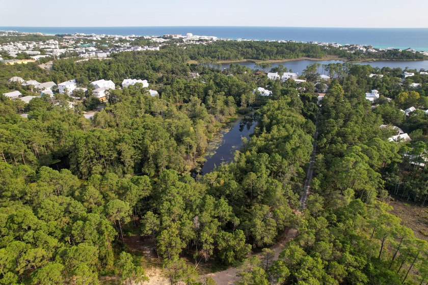 Welcome to The Driftwood by AR Homes, a stunning new - photo 18