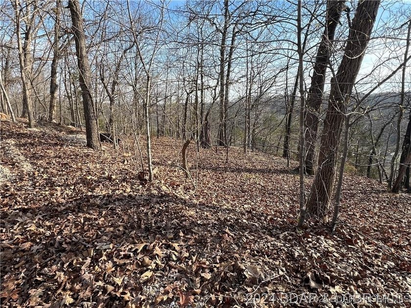 This raw land is ready for your vision, offering the perfect - photo 2