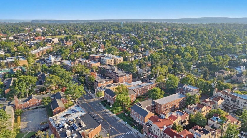 Welcome to Alden Gardens, one of Great Neck Plaza's most - photo 6