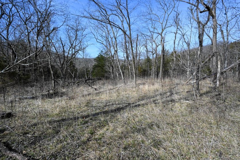 This 25+/- acre tract is located near Brumley in Miller County - photo 12