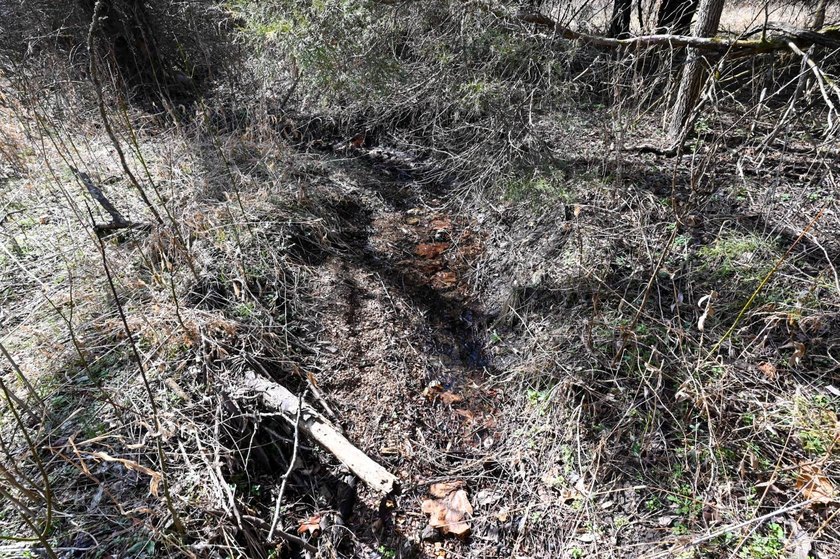 This 25+/- acre tract is located near Brumley in Miller County - photo 13