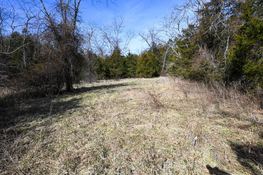 This 25+/- acre tract is located near Brumley in Miller County - photo 14