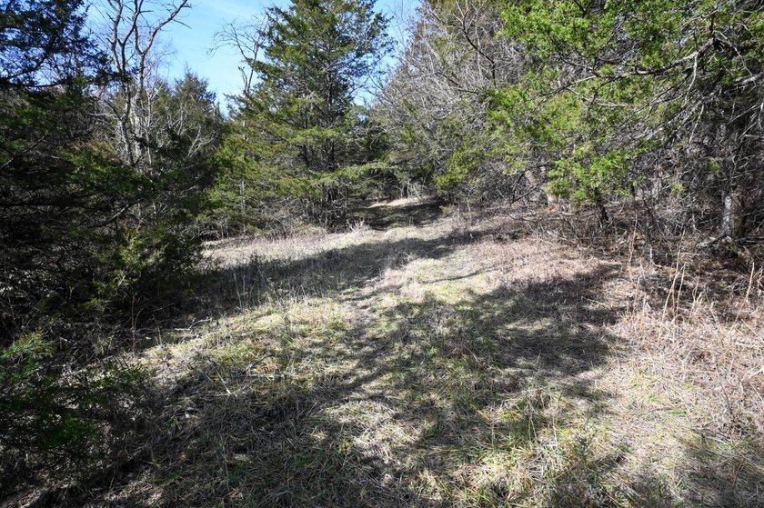 This 25+/- acre tract is located near Brumley in Miller County - photo 15