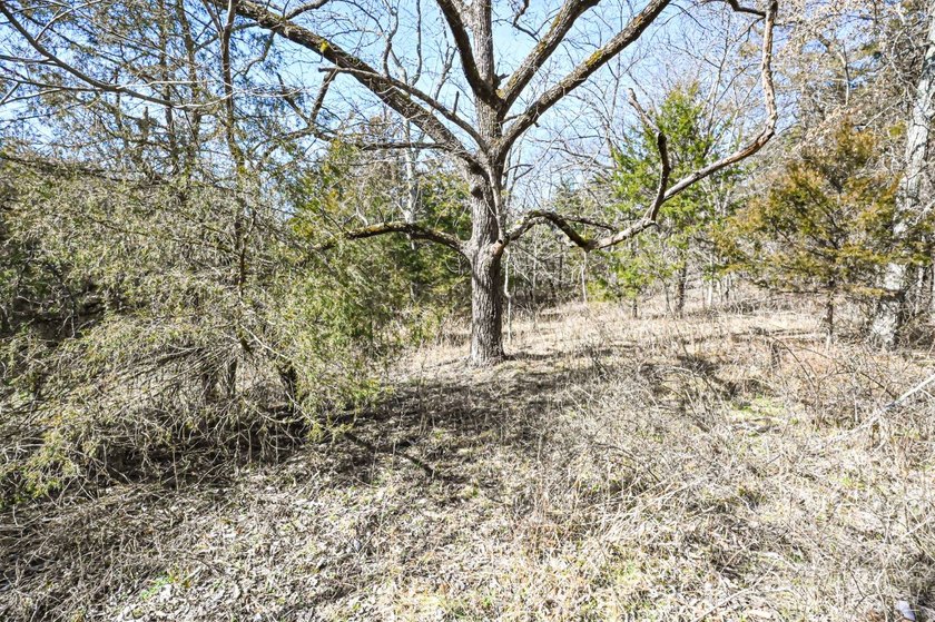 This 25+/- acre tract is located near Brumley in Miller County - photo 17