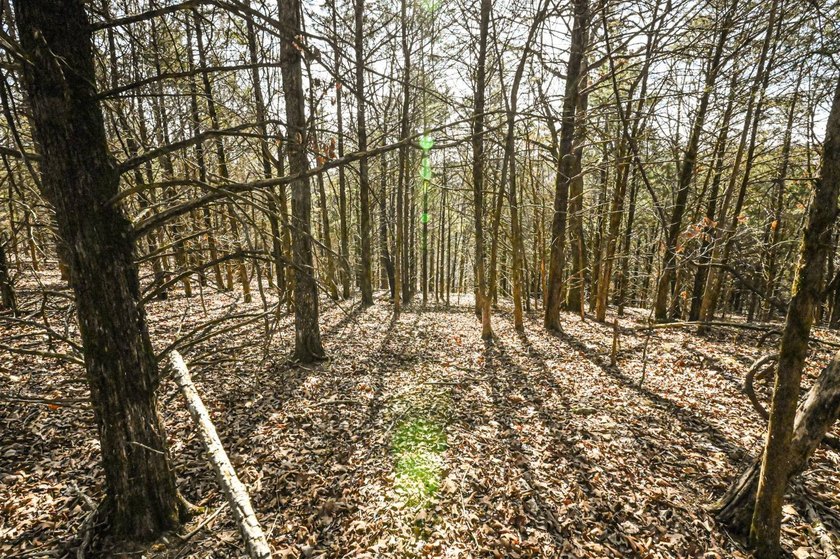This 25+/- acre tract is located near Brumley in Miller County - photo 18