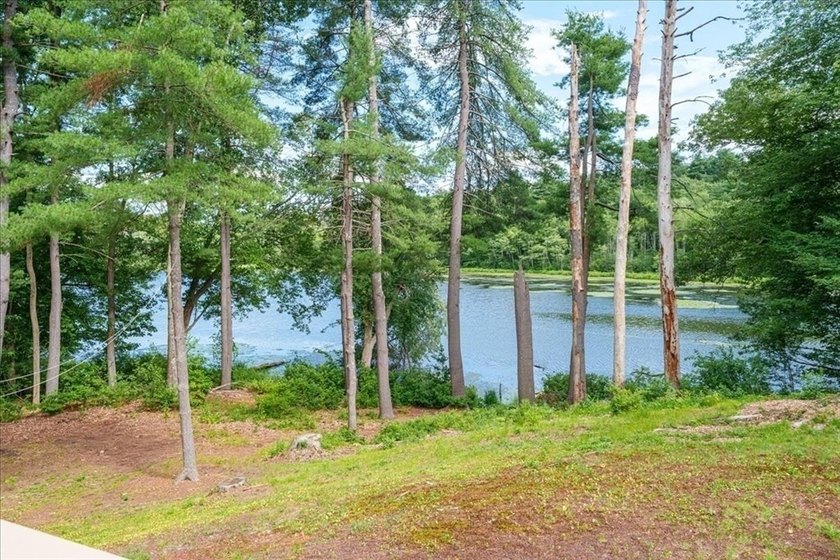 Welcome to the shore. This magical waterfront space is waiting - photo 20