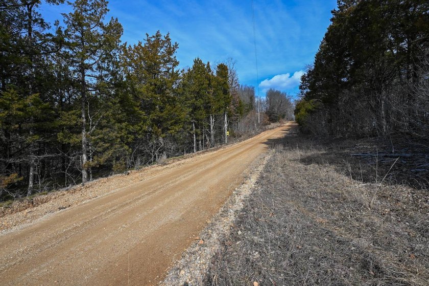 This 25+/- acre tract is located near Brumley in Miller County - photo 20